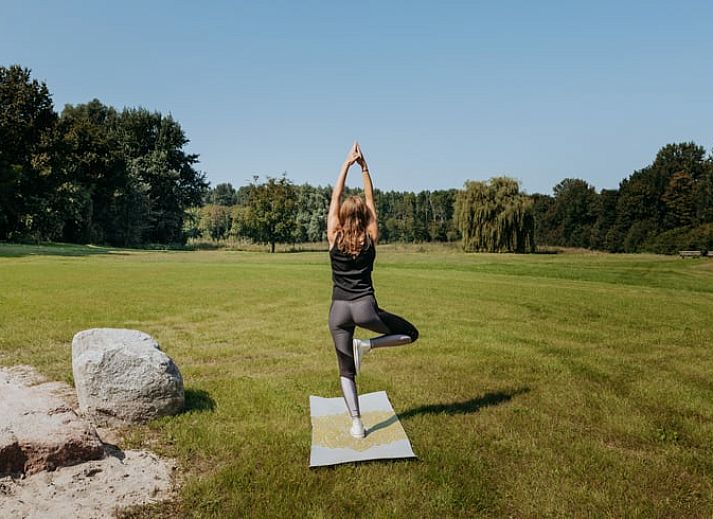 Geniessen Sie die Sonne auf der Terrasse des Ferienhauses in Zeewolde, das im gruenen Herzen von Flevoland liegt.