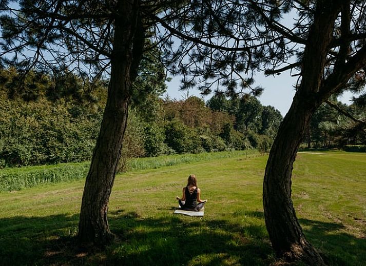 Geniessen Sie die Sonne auf der Terrasse des Ferienhauses in Zeewolde, das im gruenen Herzen von Flevoland liegt.