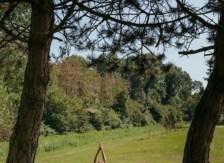 Geniessen Sie die Sonne auf der Terrasse des Ferienhauses in Zeewolde, das im gruenen Herzen von Flevoland liegt.