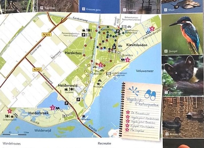 Schoene Aussicht auf das Wasser vom Ferienhaus in Zeewolde, Sued-Flevoland.