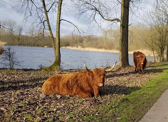 Gemuetlicher Kamin im Ferienhaus in Zeewolde fuer eine warme Atmosphaere.