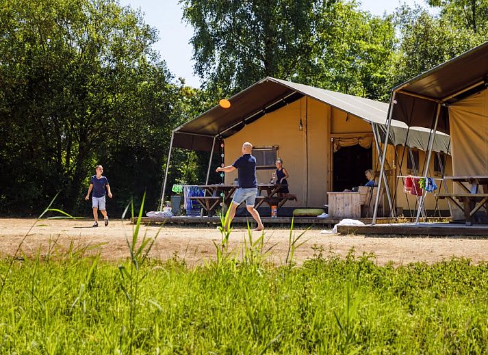 Verblijf 220264 • Tenthuis Zuidelijk Flevoland • Safaritent de Zwaluw 