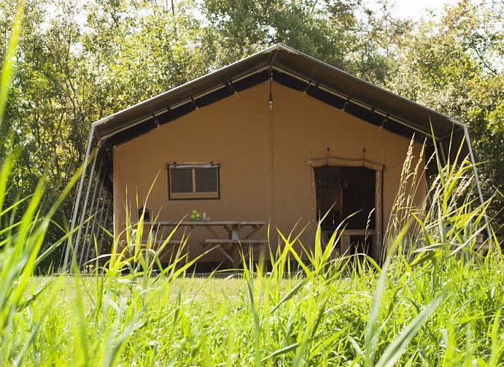 Ontspannen familie op veranda van Safaritent de Zwaluw in Zeewolde, Zuidelijk Flevoland, perfect vakantiehuis.
