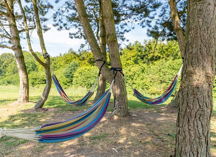 Unterkunft 220270 - Ferienhaus Zuidelijk Flevoland - Vakantiehuis in Zeewolde