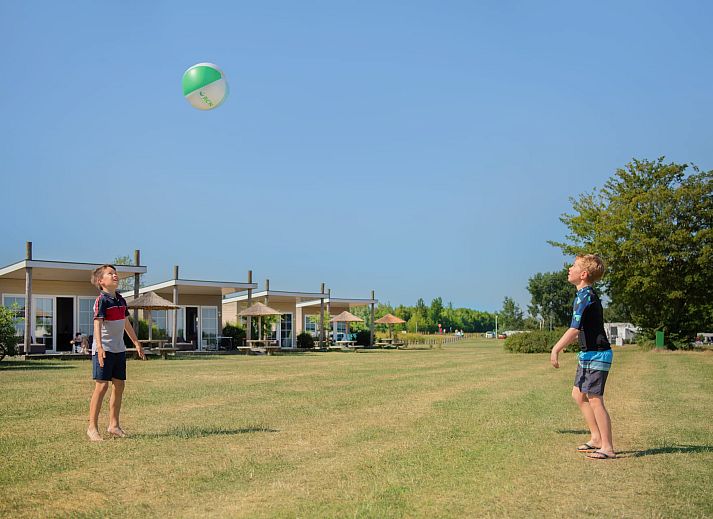 Guest house 220274 - Chalet Zuidelijk Flevoland - Chalet Strandzicht