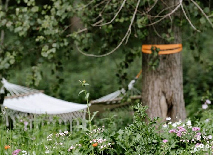 Rustic vacation home in Zeewolde, Flevoland, surrounded by serene nature and woodland for a relaxing stay.