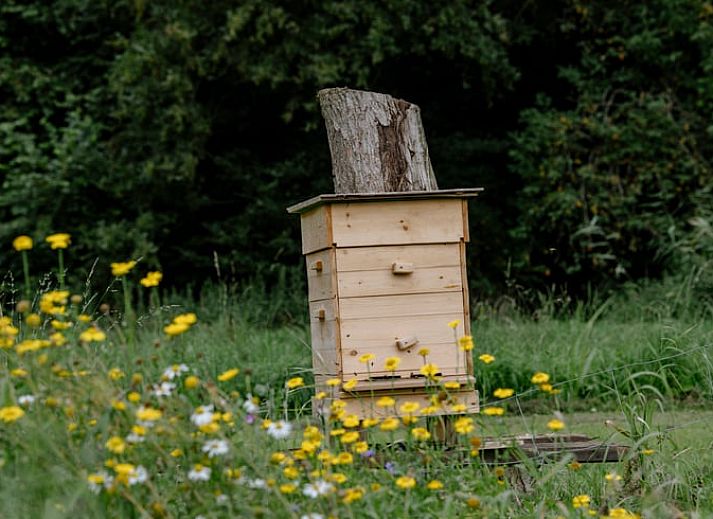 Cozy indoor area of Holiday Home in Zeewolde, Southern Flevoland, with wooden interior and comfortable seating area.