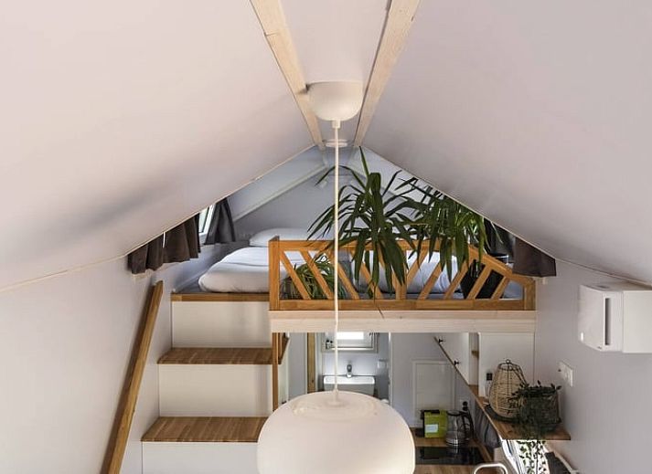 Guest house 220282 - Holiday property Zuidelijk Flevoland - Huisje in Zeewolde