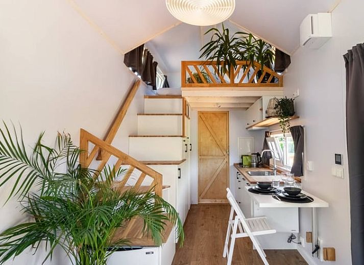 Guest house 220282 - Holiday property Zuidelijk Flevoland - Huisje in Zeewolde