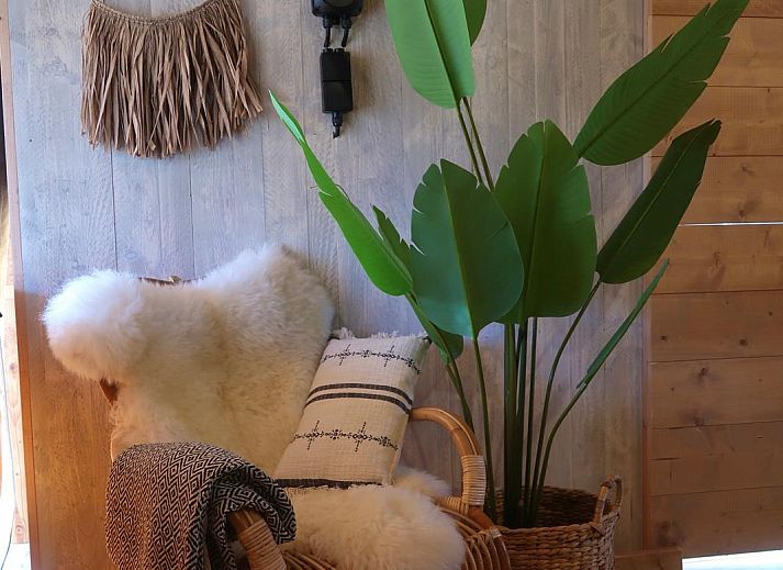 Guest house 220298 - Tent house Zuidelijk Flevoland - Cortijo la Perla