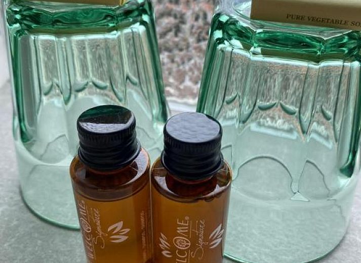 Stijlvolle kamer in Hotel Buren, vakantiewoning op de Waddeneilanden