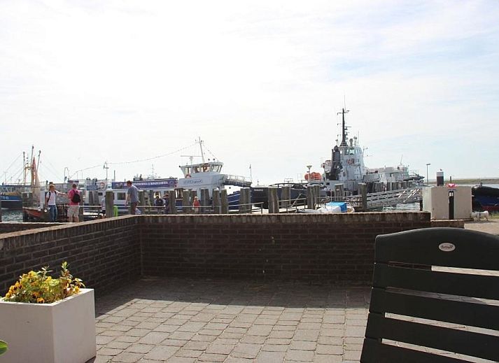 Unterkunft 220318 - Appartement Terschelling - TS37