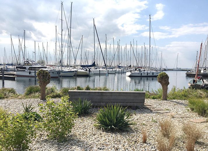 Guest house 220339 - Holiday property Zuidelijk Flevoland - Havenlodge met dakterras en balkon