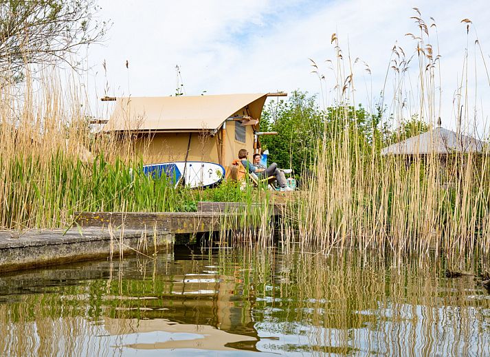 Unterkunft 220344 - Zelthaus Zuidelijk Flevoland - Safaritent