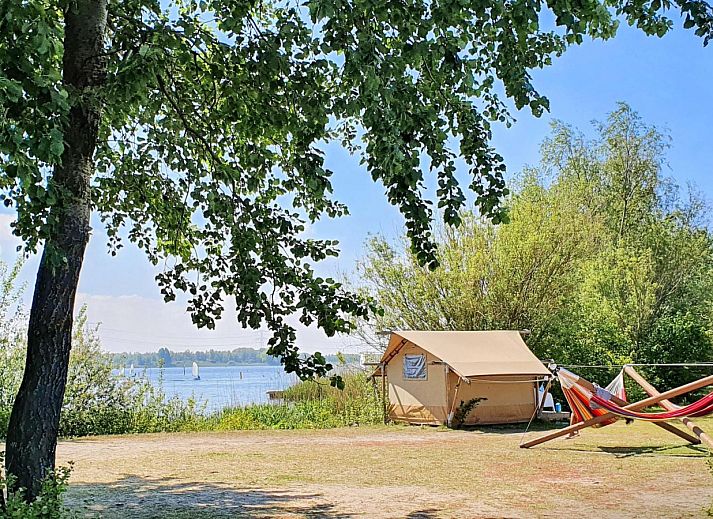 Unterkunft 220344 - Zelthaus Zuidelijk Flevoland - Safaritent