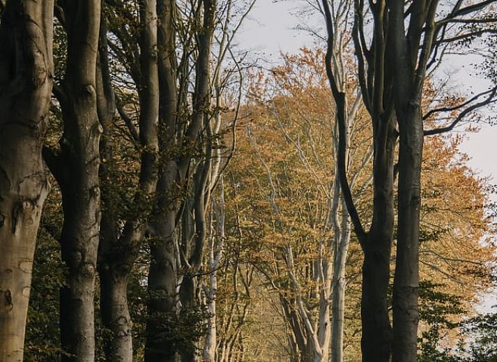 Authentische Kueche im Ferienhaus in Oudemirdum, Friesische Waelder, Friesland.
