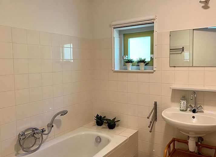 Gezellig vakantiehuis Huisje in Oudemirdum omringd door natuur in de Friese bossen, Friesland.