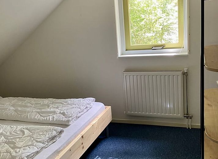 Gezellig vakantiehuis Huisje in Oudemirdum omringd door natuur in de Friese bossen, Friesland.