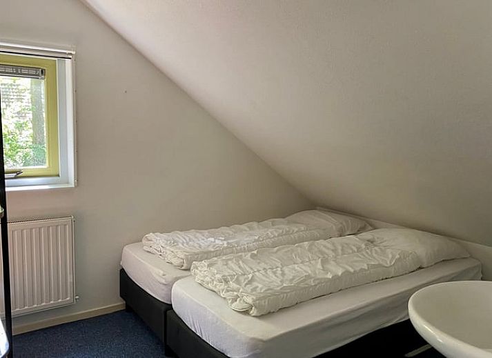 Gezellig vakantiehuis Huisje in Oudemirdum omringd door natuur in de Friese bossen, Friesland.