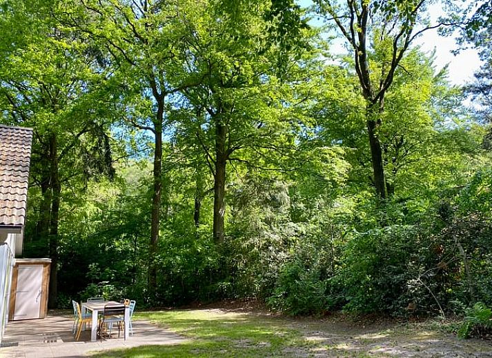 Moderne keuken in Huisje in Oudemirdum, vakantiehuis in Friese bossen, Friesland met uitzicht op groen.