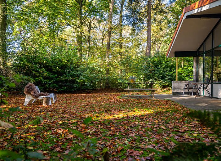 Unterkunft 230112 - Ferienhaus Friese bossen - Vakantiehuisje in Oudemirdum