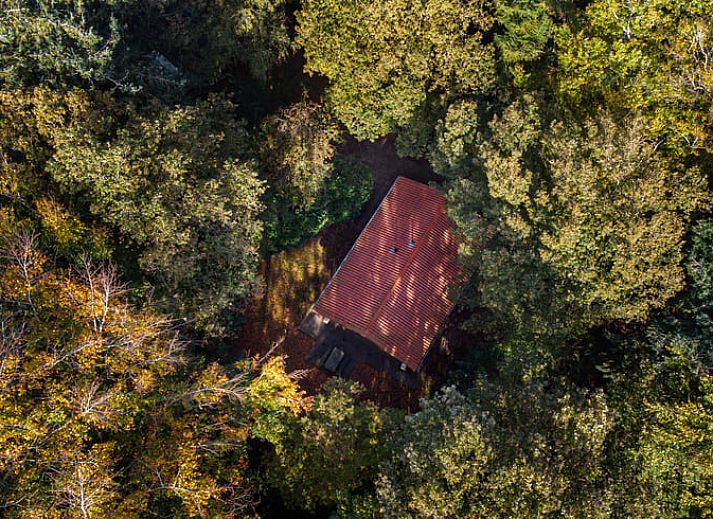 Unterkunft 230112 - Ferienhaus Friese bossen - Vakantiehuisje in Oudemirdum