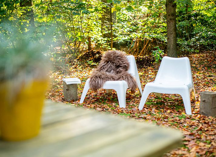 Unterkunft 230112 - Ferienhaus Friese bossen - Vakantiehuisje in Oudemirdum