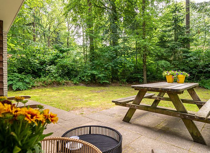 Unterkunft 230112 - Ferienhaus Friese bossen - Vakantiehuisje in Oudemirdum