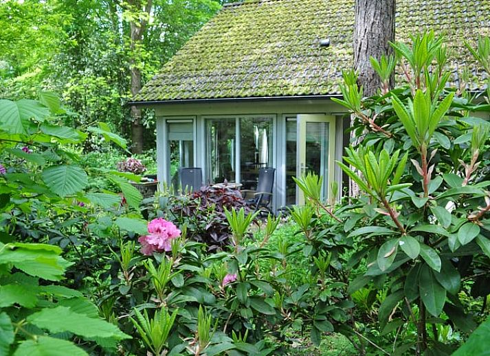 Guest house 230117 • Holiday property Friese bossen • Vakantiehuis in Oudemirdum