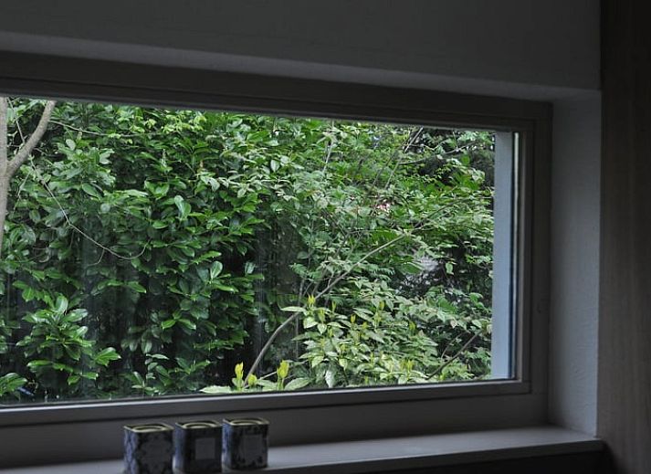 Guest house 230117 - Holiday property Friese bossen - Vakantiehuis in Oudemirdum