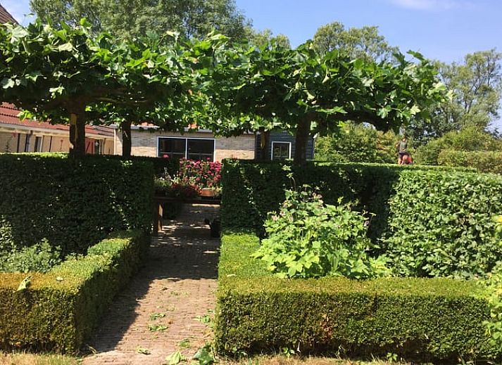 Guest house 230119 - Holiday property Friese bossen - Vakantiehuisje in Oudemirdum