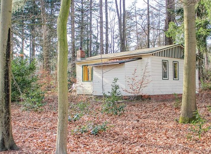 Verblijf 230123 • Vakantiewoning Friese bossen • Vakantiehuis voor 4 personen in Oudemirdum