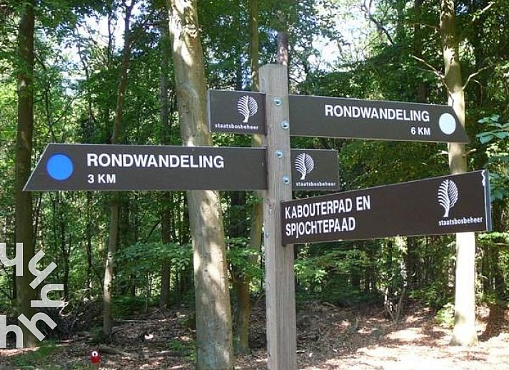 Unterkunft 230124 - Ferienhaus Friese bossen - FR135