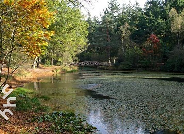 Unterkunft 230124 - Ferienhaus Friese bossen - FR135