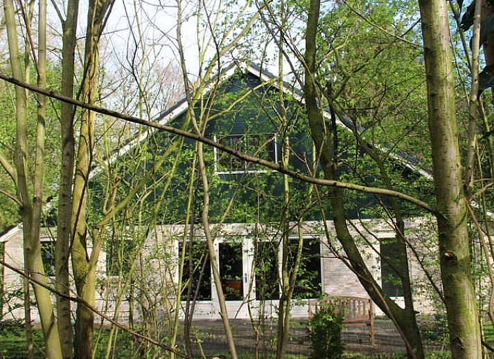 Verblijf 230127 • Vakantiewoning Friese bossen • Vakantiehuisje in Oudemirdum