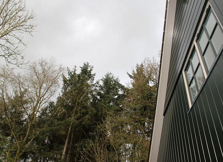 Unterkunft 230127 - Ferienhaus Friese bossen - Vakantiehuisje in Oudemirdum
