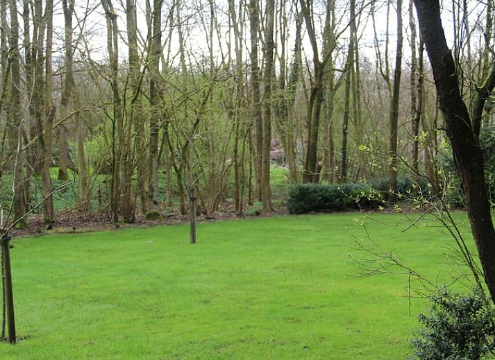Unterkunft 230127 - Ferienhaus Friese bossen - Vakantiehuisje in Oudemirdum