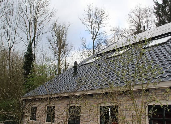 Unterkunft 230127 - Ferienhaus Friese bossen - Vakantiehuisje in Oudemirdum