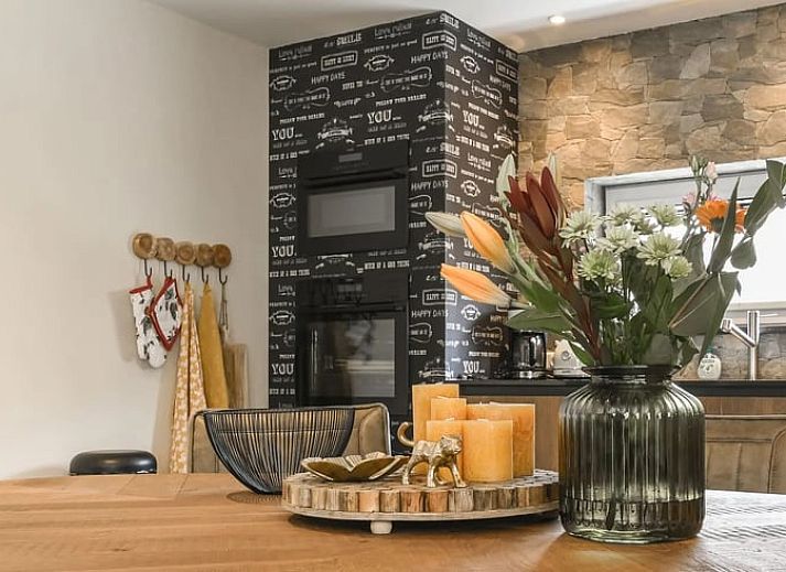 Guest house 230205 - Holiday property Friese bossen - Vakantiehuis in Rijs