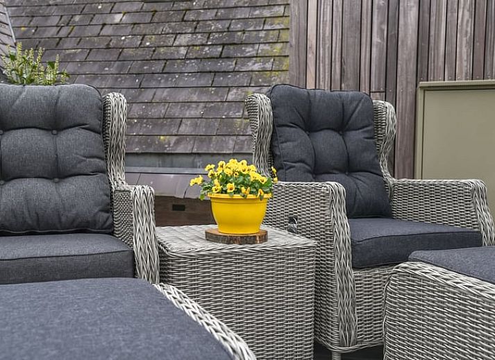 Guest house 230205 - Holiday property Friese bossen - Vakantiehuis in Rijs
