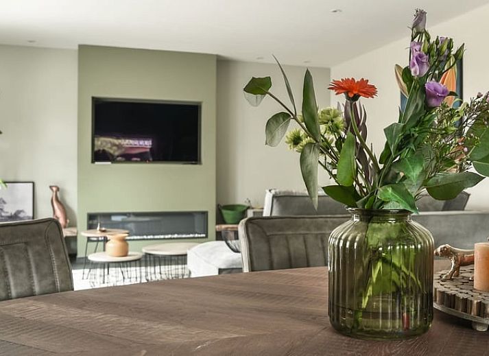 Guest house 230205 - Holiday property Friese bossen - Vakantiehuis in Rijs