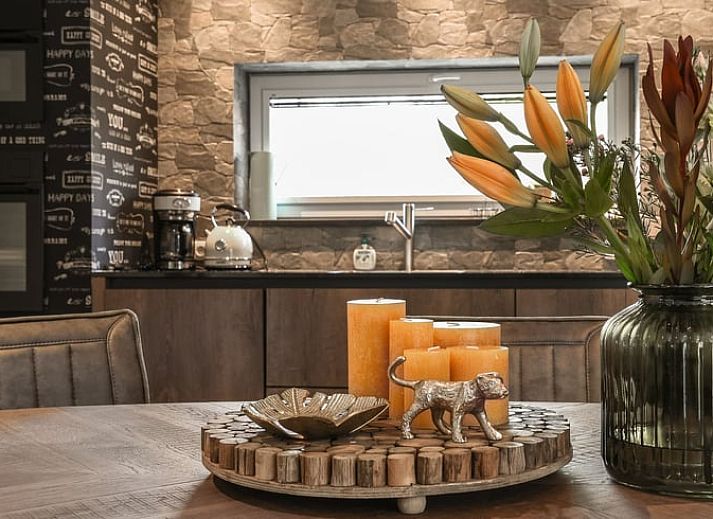 Guest house 230205 - Holiday property Friese bossen - Vakantiehuis in Rijs