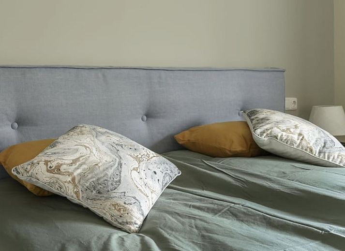 Guest house 230205 - Holiday property Friese bossen - Vakantiehuis in Rijs