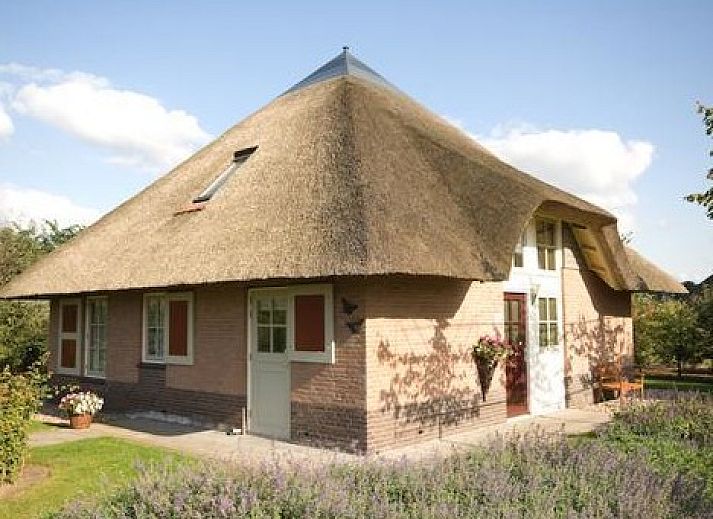 Verblijf 230303 • Vakantiewoning Friese bossen • Aurelia
