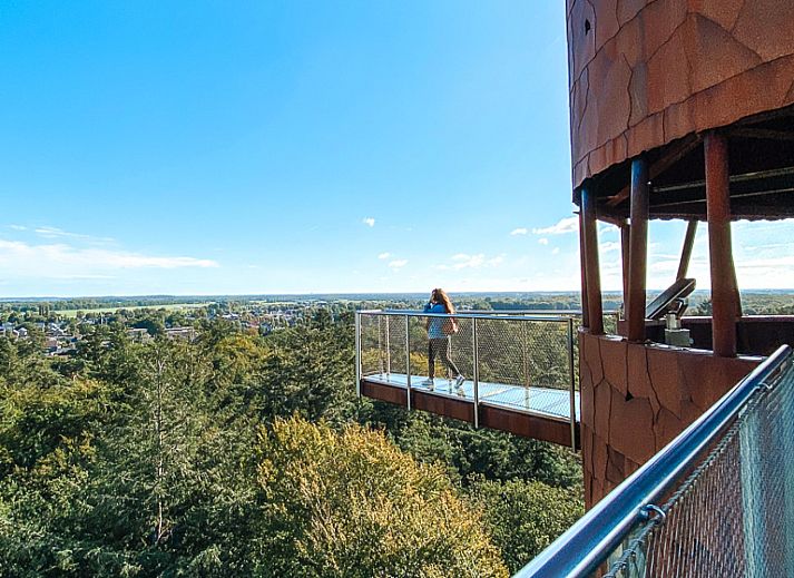 Bluehendes Heidekraut in der Landschaft um das Ferienhaus FR433 in Appelscha, Friesland.