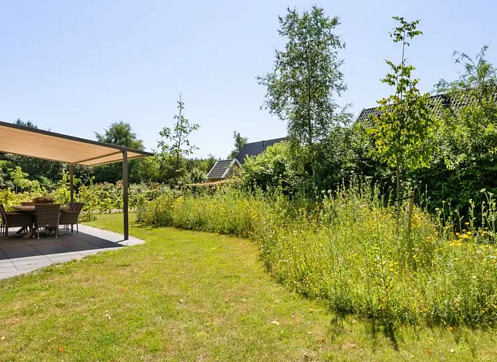 Unterkunft 2303115 - Ferienhaus Friese bossen - Boszandoog 8 | Luxe