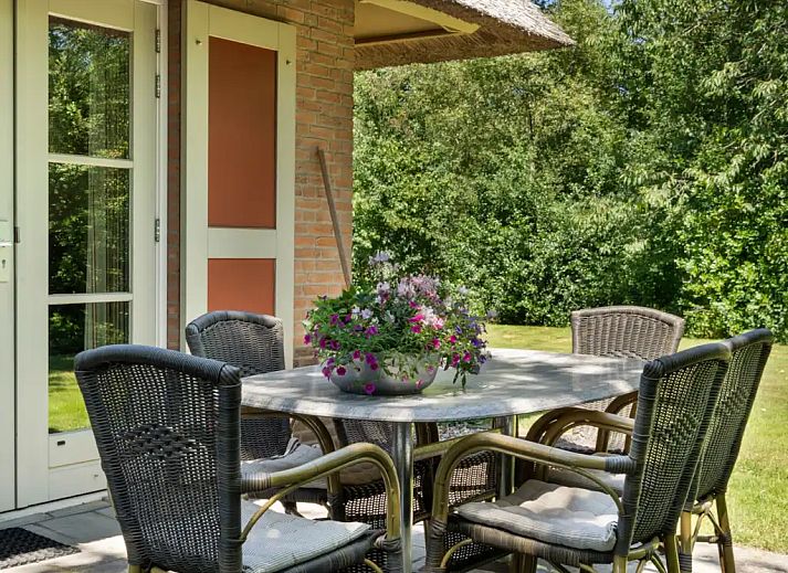 Guest house 2303118 - Holiday property Friese bossen - Aurelia 6 | Basic
