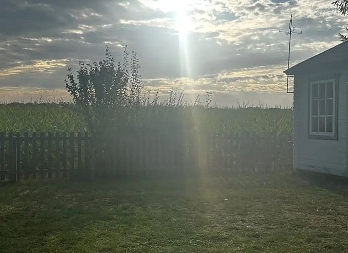 Unterkunft 2303119 - Ferienhaus Friese bossen - Ideale Vakantiewoning Appelscha