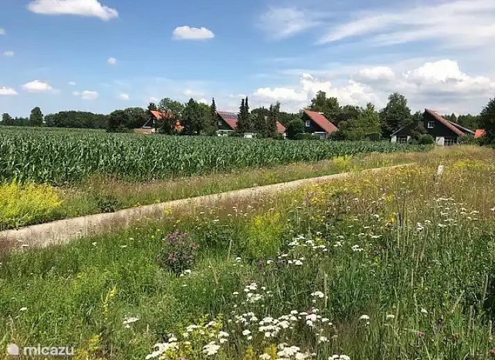 Unterkunft 2303119 - Ferienhaus Friese bossen - Ideale Vakantiewoning Appelscha