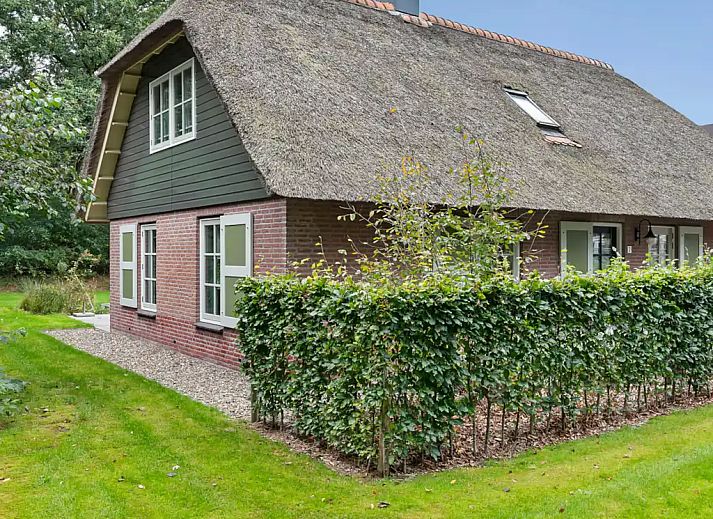 Verblijf 2303124 - Vakantiewoning Friese bossen - Dagpauwoog 6 | Luxe